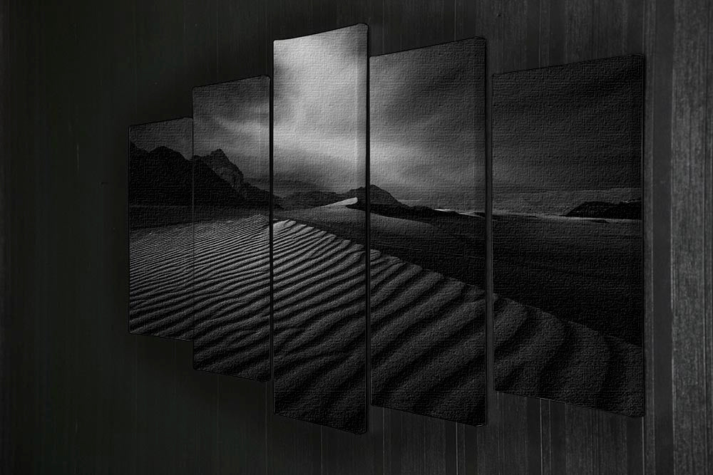Desert In Greyscale 5 Split Panel Canvas - Canvas Art Rocks - 2