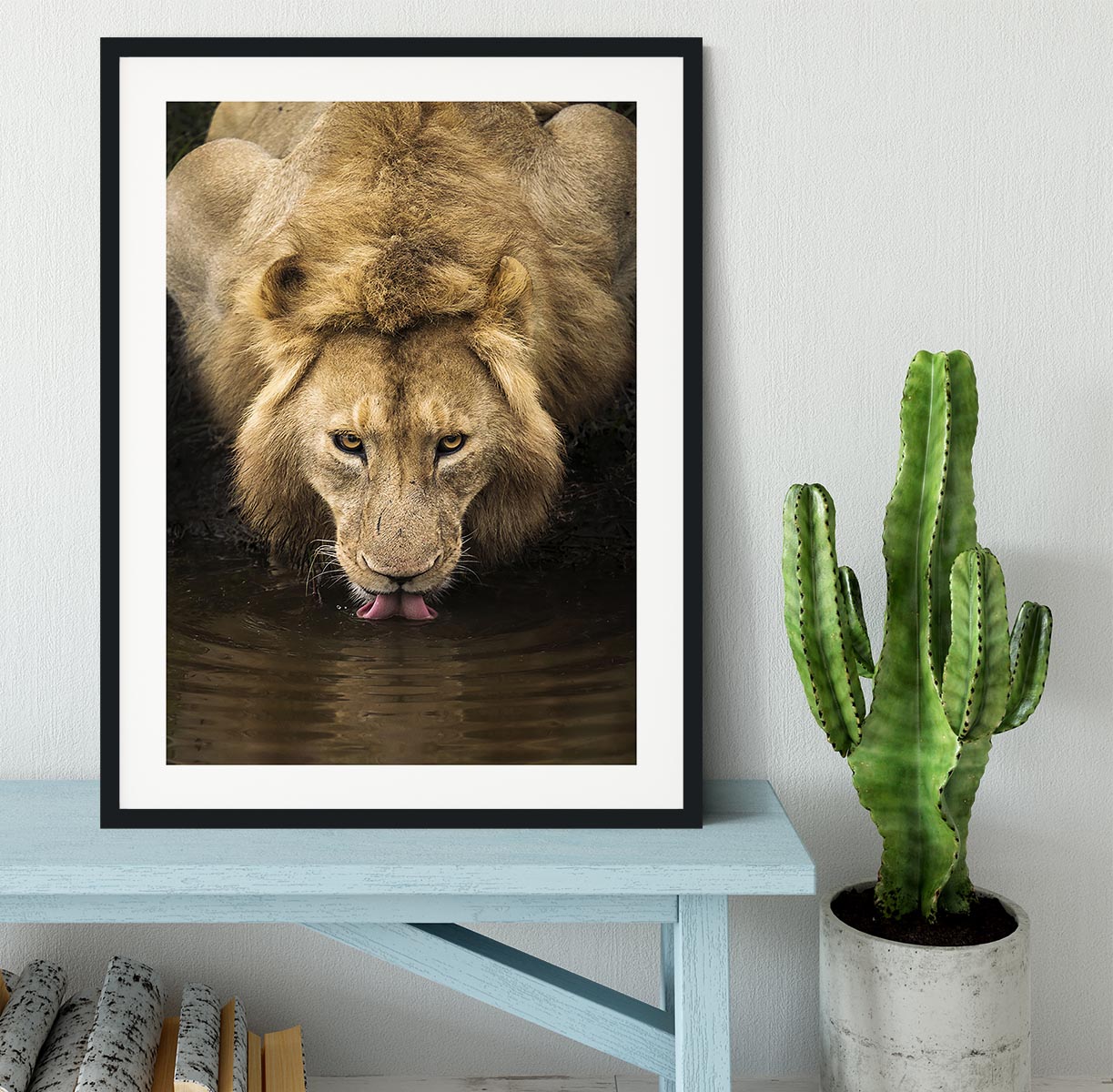 A Thirsty Lion Framed Print - Canvas Art Rocks - 1