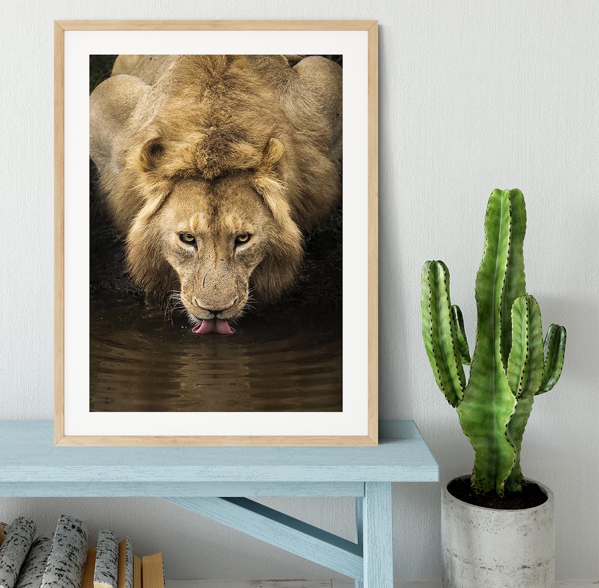A Thirsty Lion Framed Print - Canvas Art Rocks - 3
