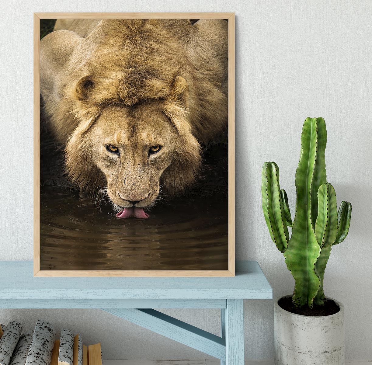 A Thirsty Lion Framed Print - Canvas Art Rocks - 4