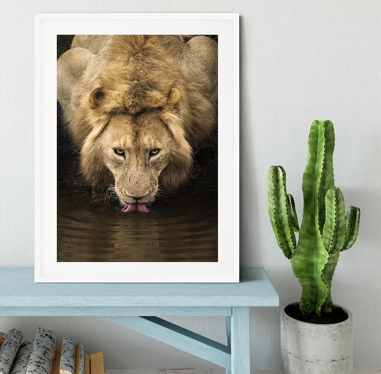 A Thirsty Lion Framed Print - Canvas Art Rocks - 5