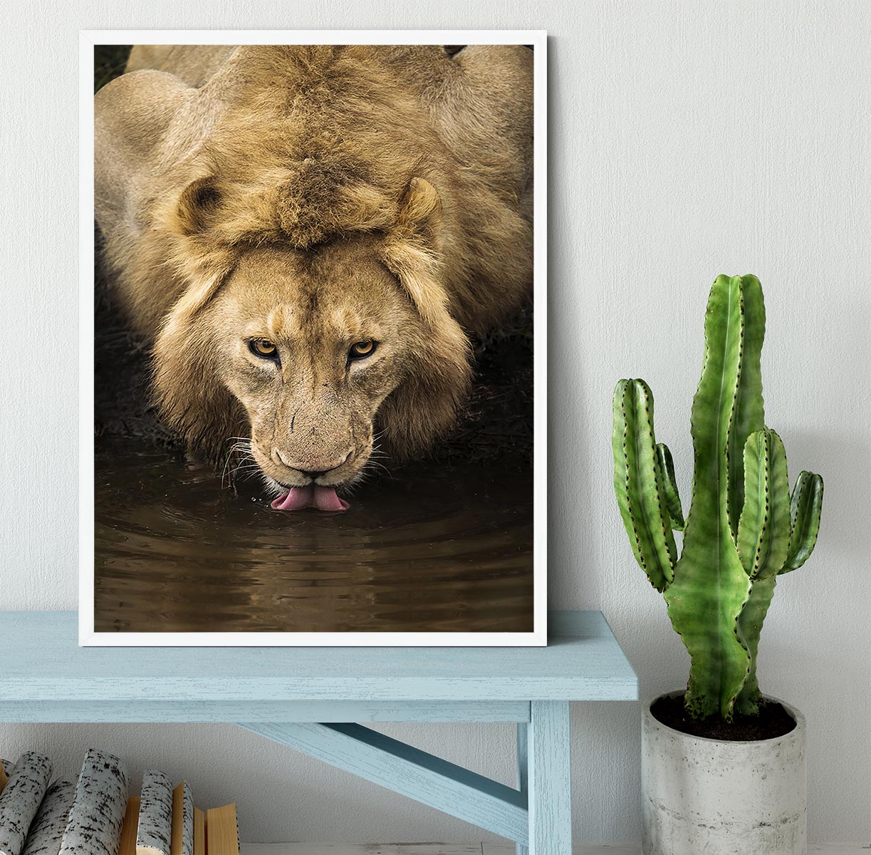 A Thirsty Lion Framed Print - Canvas Art Rocks -6