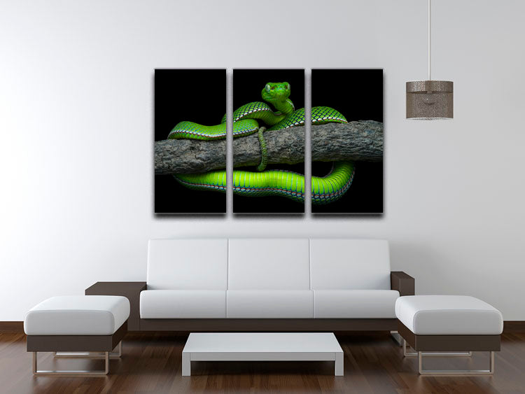 Green Trimeresurus Vogeli Snake 3 Split Panel Canvas Print - Canvas Art Rocks - 3