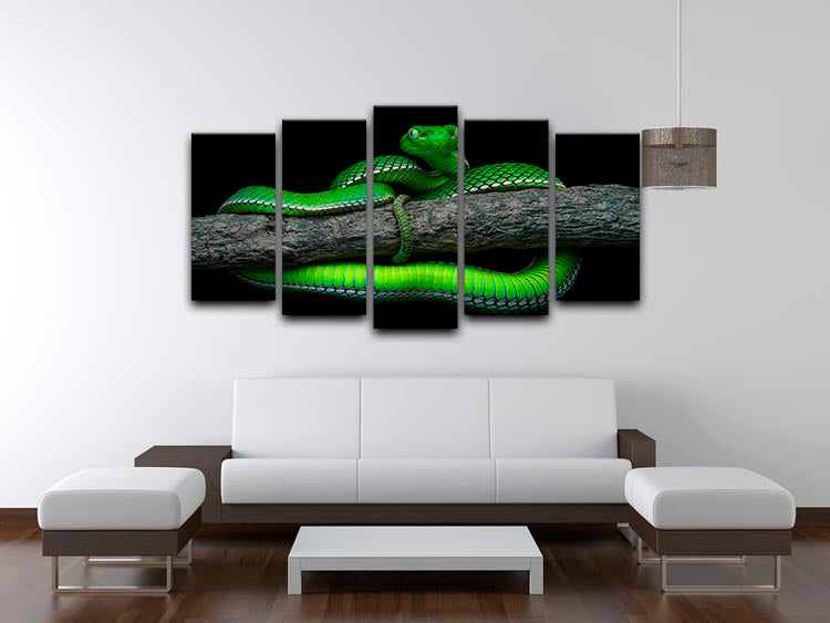 Green Trimeresurus Vogeli Snake 5 Split Panel Canvas - Canvas Art Rocks - 3