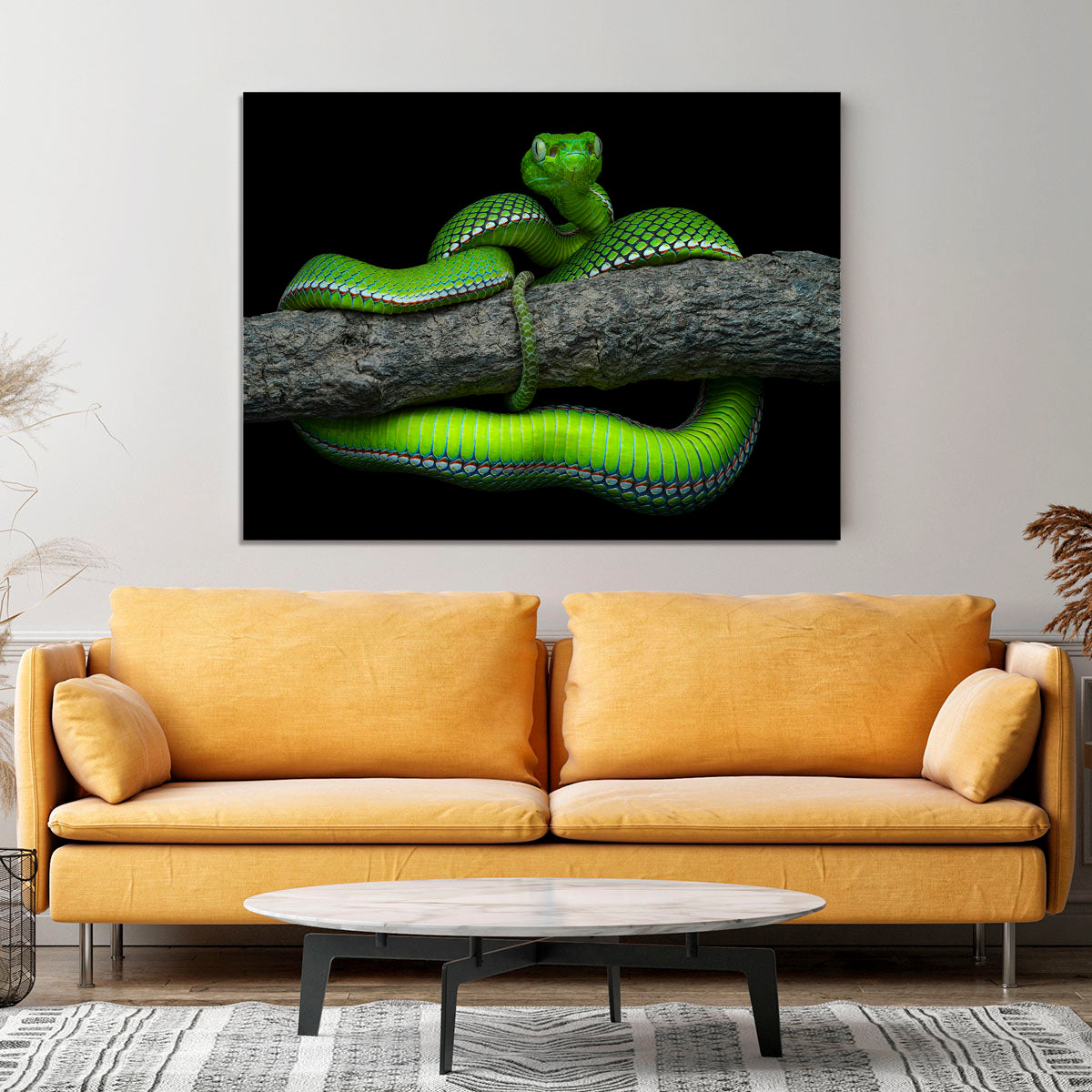 Green Trimeresurus Vogeli Snake Canvas Print or Poster - Canvas Art Rocks - 4