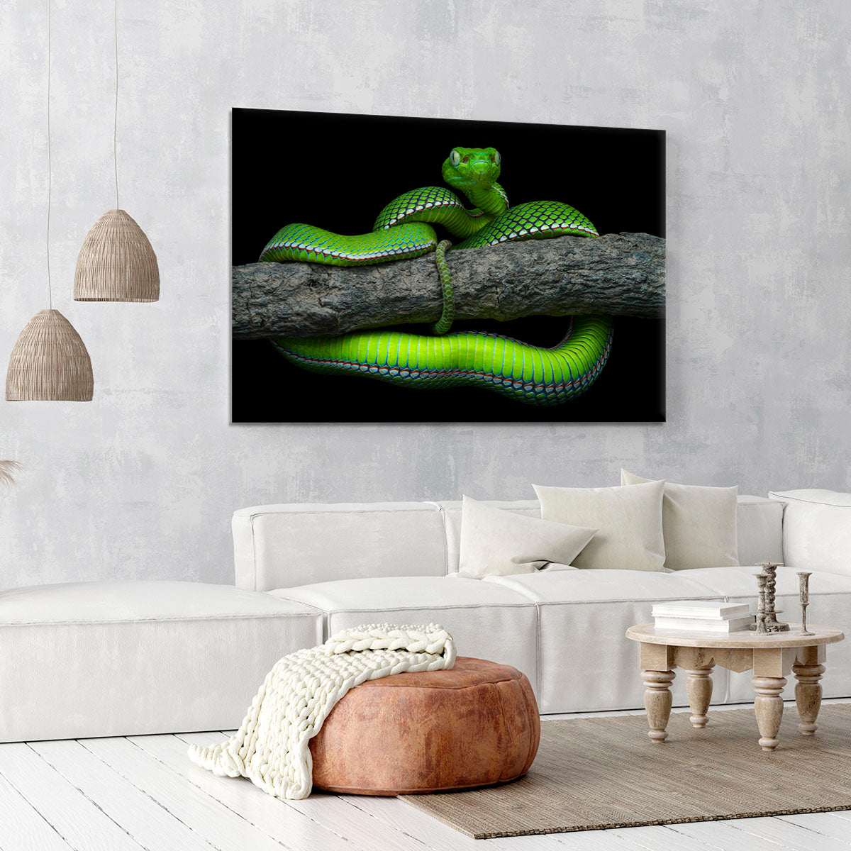 Green Trimeresurus Vogeli Snake Canvas Print or Poster - Canvas Art Rocks - 6