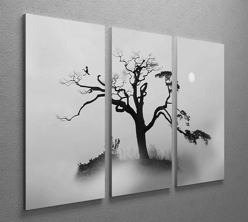 Pine tree In The Fog 3 Split Panel Canvas Print - Canvas Art Rocks - 2