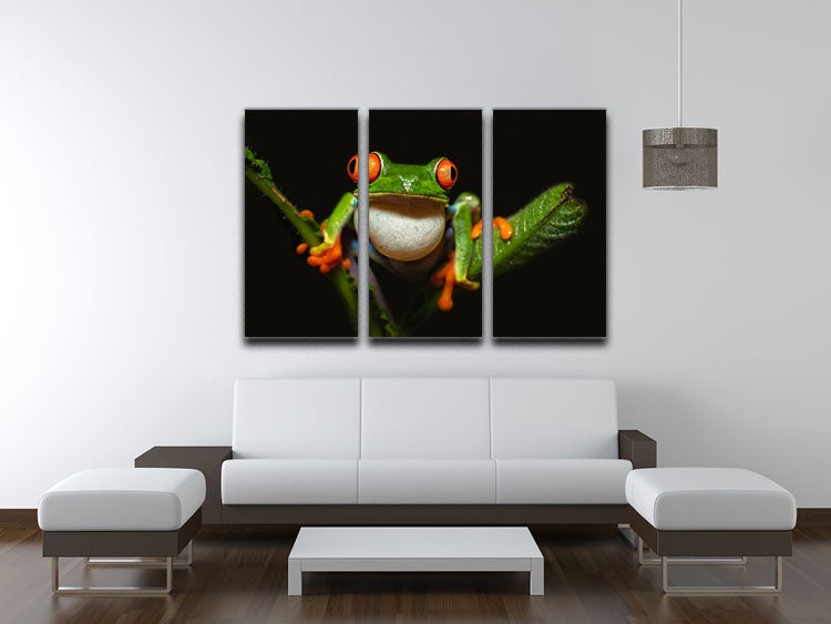 Red-eyed tree frog 3 Split Panel Canvas Print - Canvas Art Rocks - 3