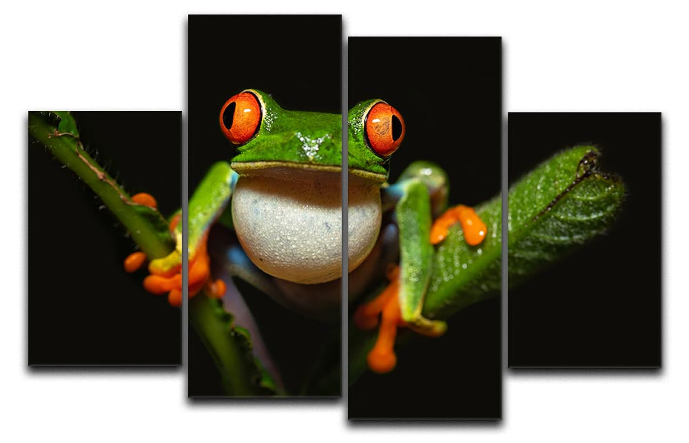 Red-eyed tree frog 4 Split Panel Canvas - Canvas Art Rocks - 1