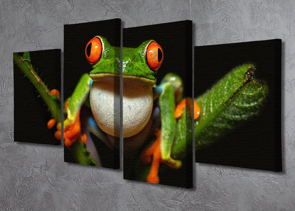 Red-eyed tree frog 4 Split Panel Canvas - Canvas Art Rocks - 2