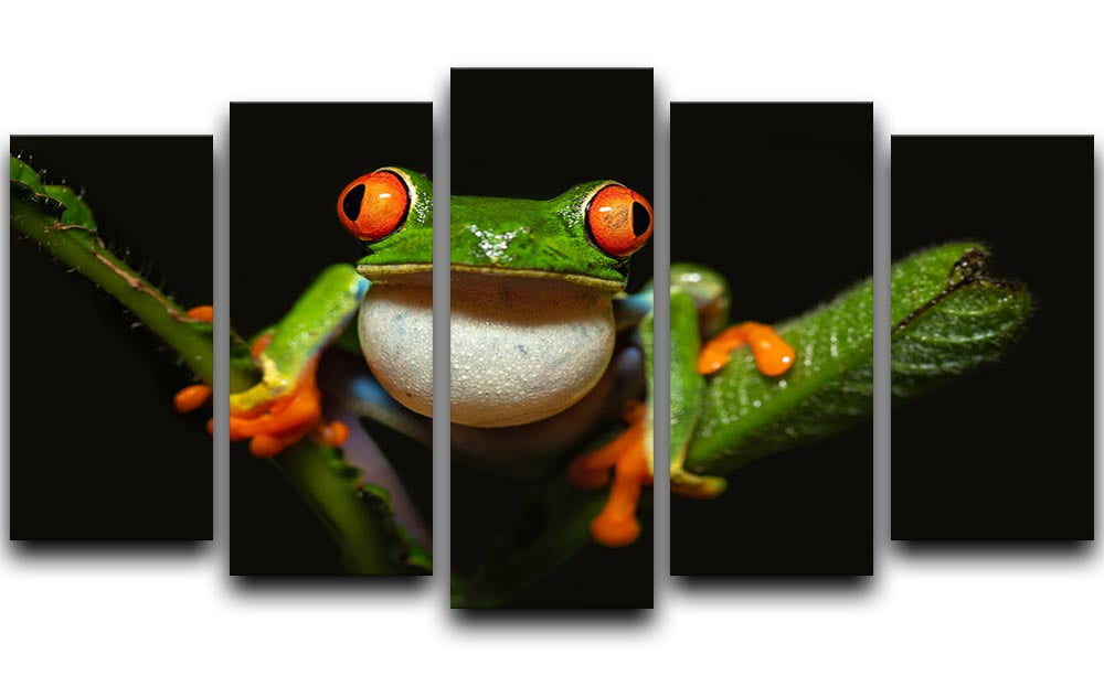 Red-eyed tree frog 5 Split Panel Canvas - Canvas Art Rocks - 1