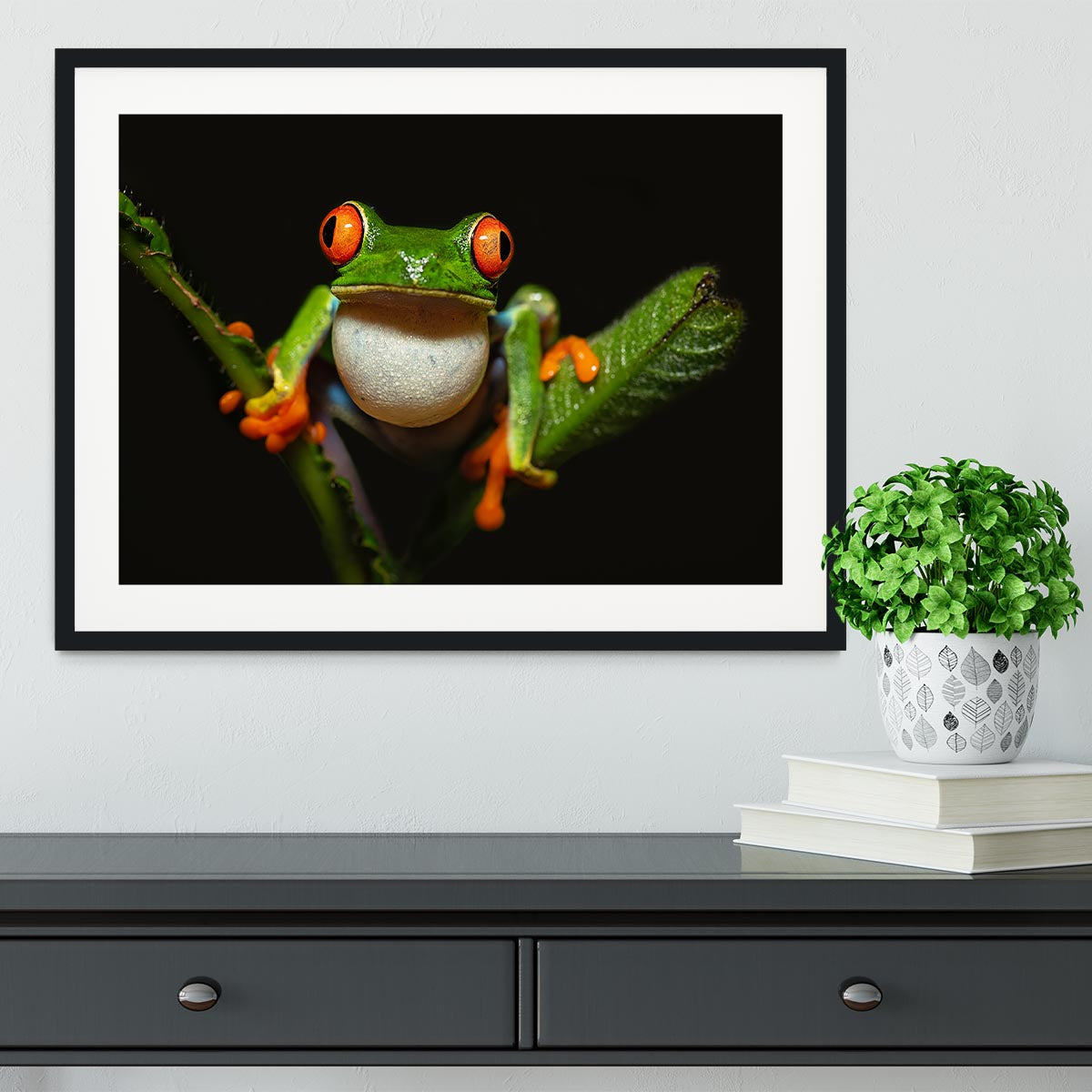 Red-eyed tree frog Framed Print - Canvas Art Rocks - 1