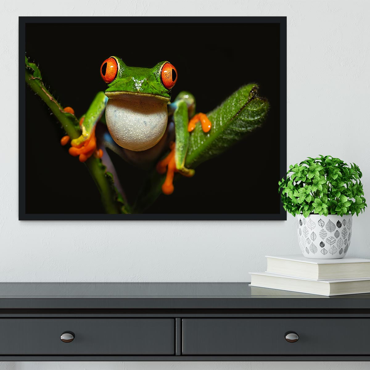 Red-eyed tree frog Framed Print - Canvas Art Rocks - 2