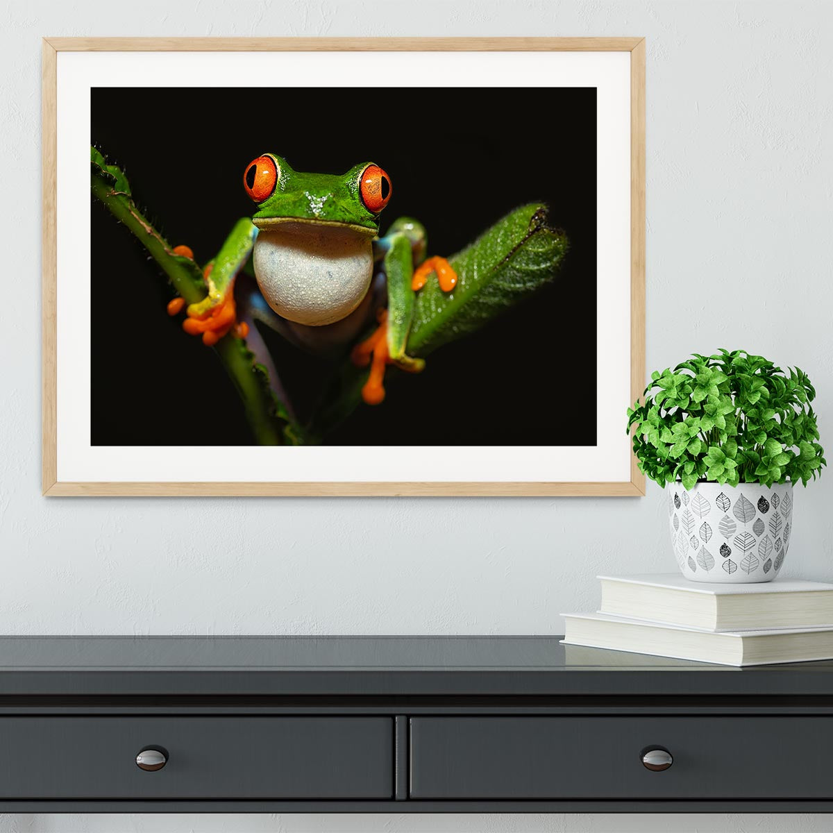 Red-eyed tree frog Framed Print - Canvas Art Rocks - 3