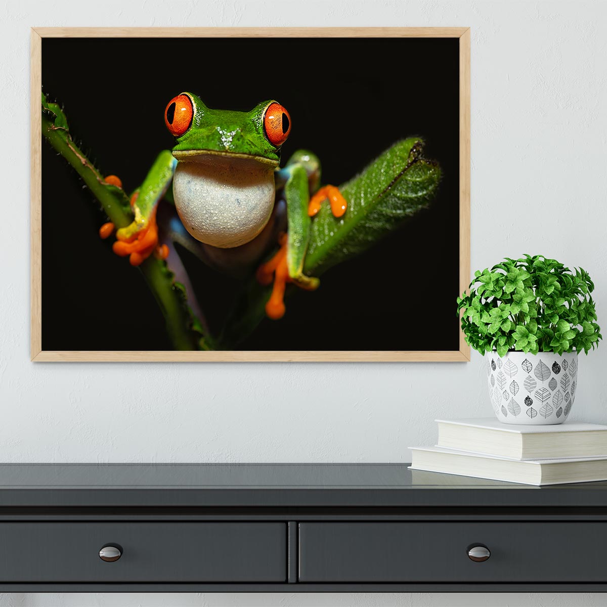 Red-eyed tree frog Framed Print - Canvas Art Rocks - 4
