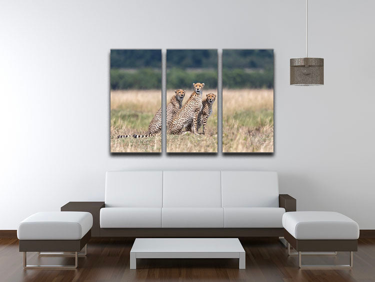 Three Cheetahs 3 Split Panel Canvas Print - Canvas Art Rocks - 3