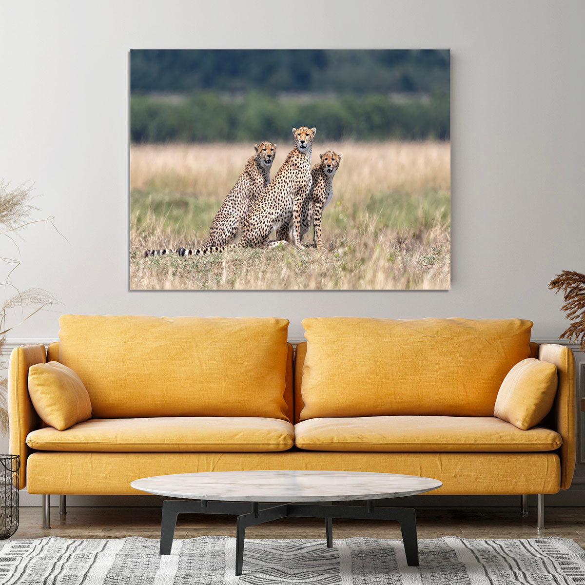 Three Cheetahs Canvas Print or Poster - Canvas Art Rocks - 4