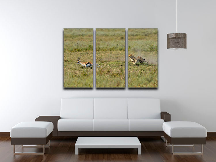 Cheetah Hunting 3 Split Panel Canvas Print - Canvas Art Rocks - 3