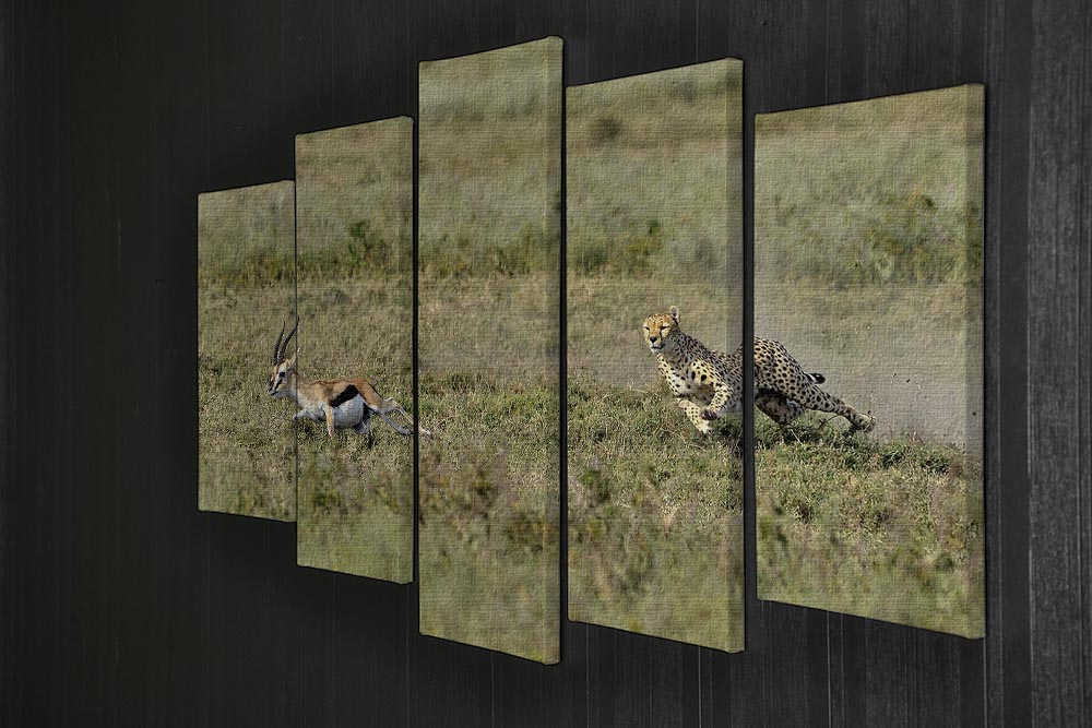 Cheetah Hunting 5 Split Panel Canvas - Canvas Art Rocks - 2