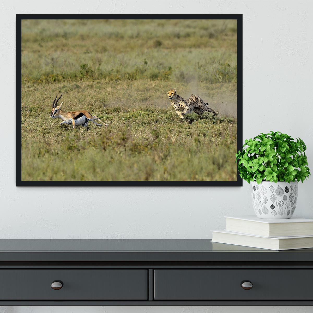 Cheetah Hunting Framed Print - Canvas Art Rocks - 2