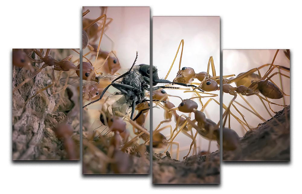 Close p Of Insects 4 Split Panel Canvas - Canvas Art Rocks - 1