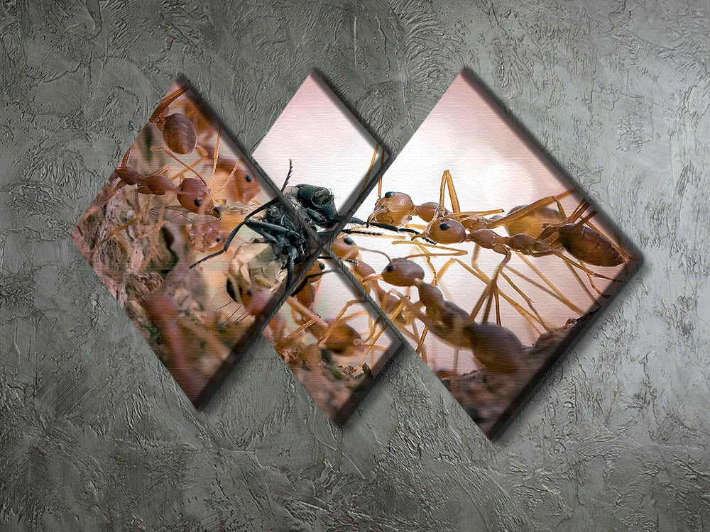 Close p Of Insects 4 Square Multi Panel Canvas - Canvas Art Rocks - 2