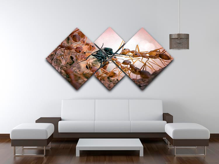 Close p Of Insects 4 Square Multi Panel Canvas - Canvas Art Rocks - 3