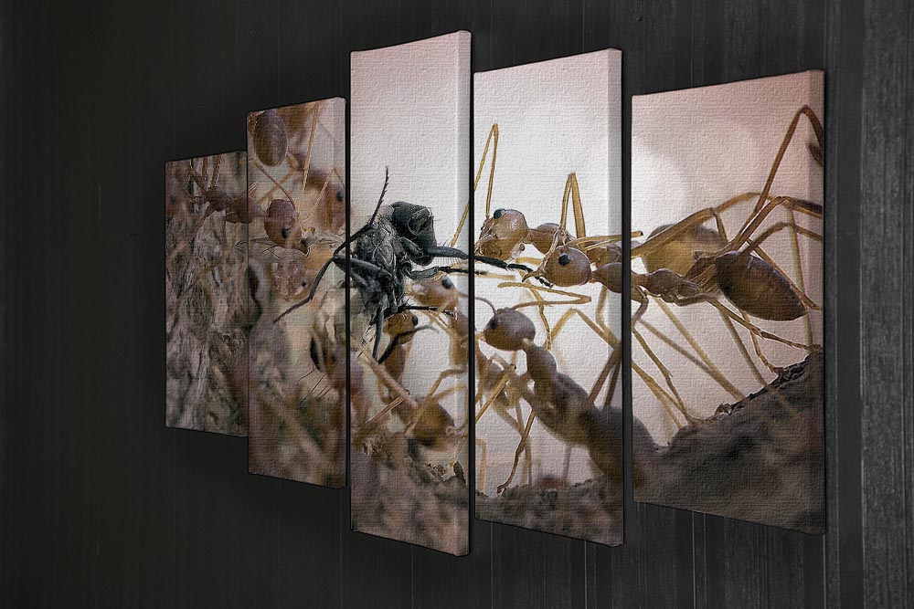 Close p Of Insects 5 Split Panel Canvas - Canvas Art Rocks - 2