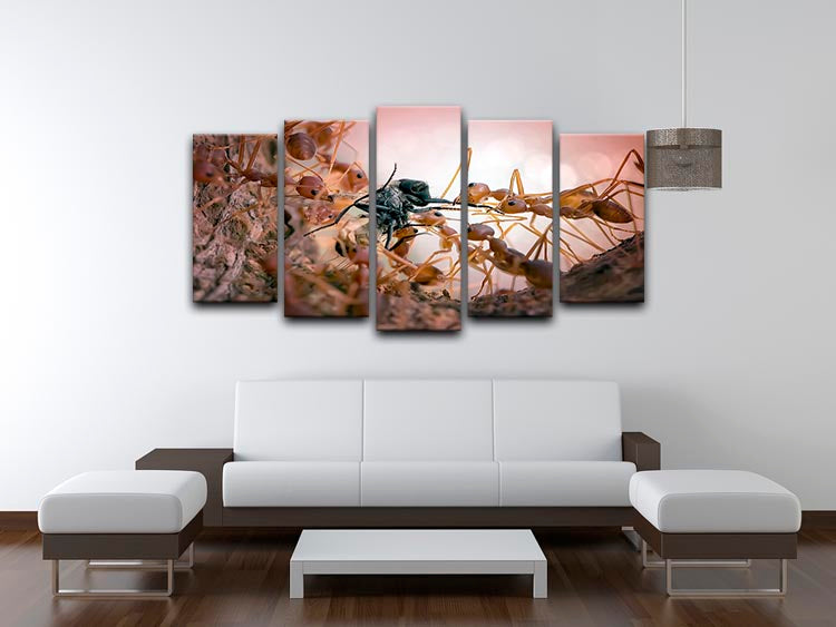 Close p Of Insects 5 Split Panel Canvas - Canvas Art Rocks - 3