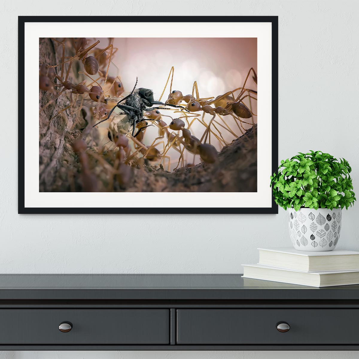 Close p Of Insects Framed Print - Canvas Art Rocks - 1