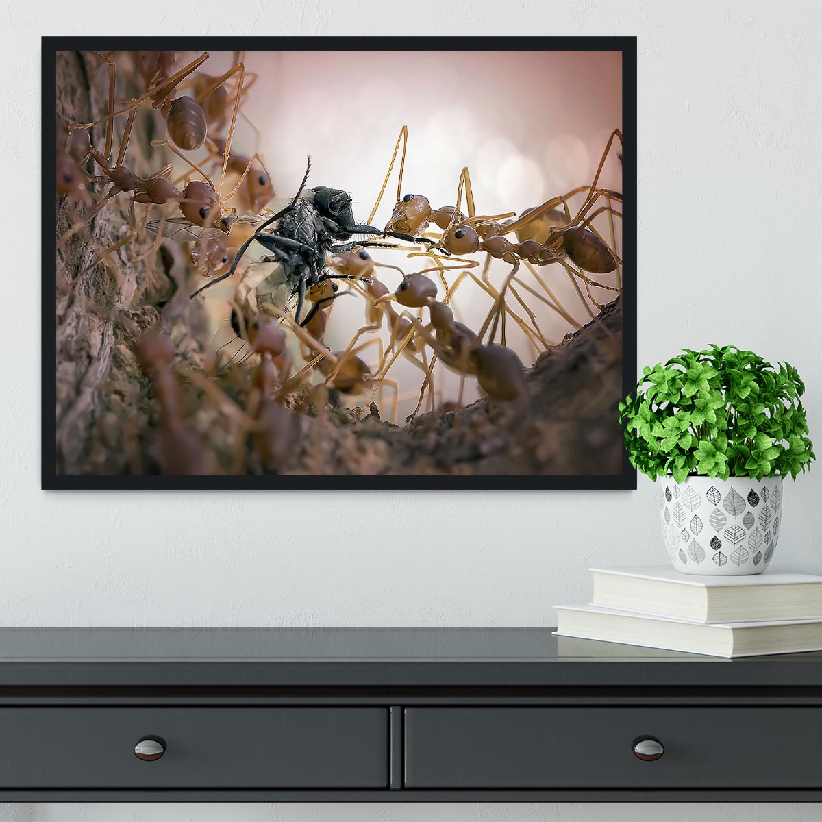Close p Of Insects Framed Print - Canvas Art Rocks - 2
