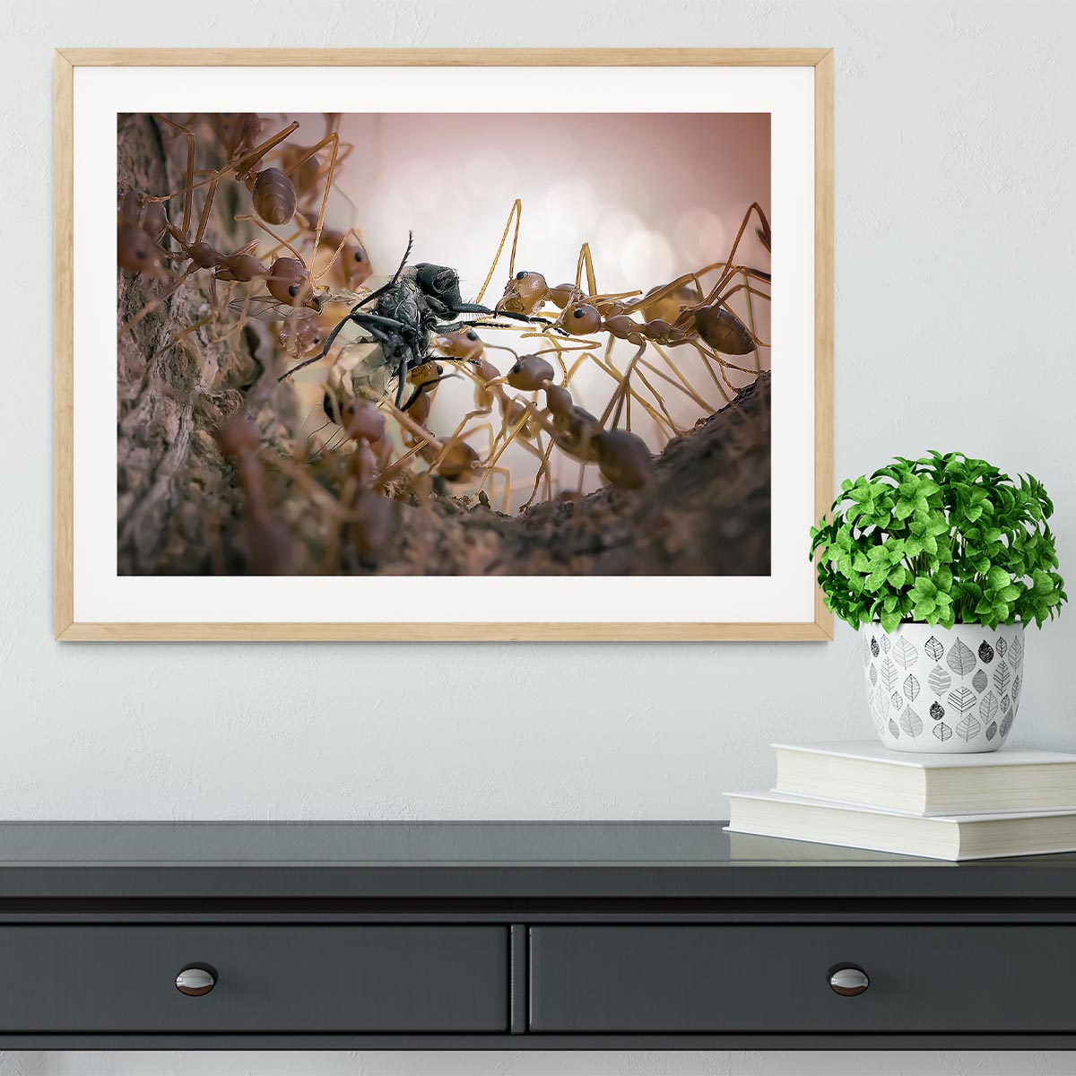 Close p Of Insects Framed Print - Canvas Art Rocks - 3