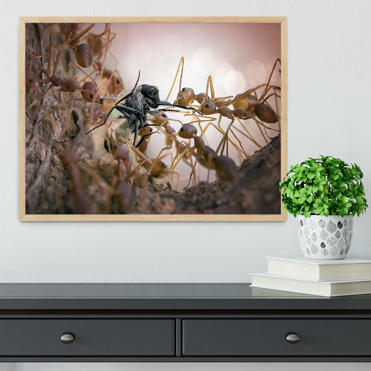 Close p Of Insects Framed Print - Canvas Art Rocks - 4