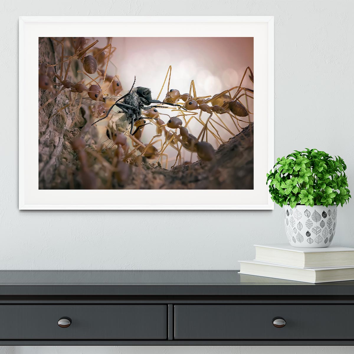 Close p Of Insects Framed Print - Canvas Art Rocks - 5