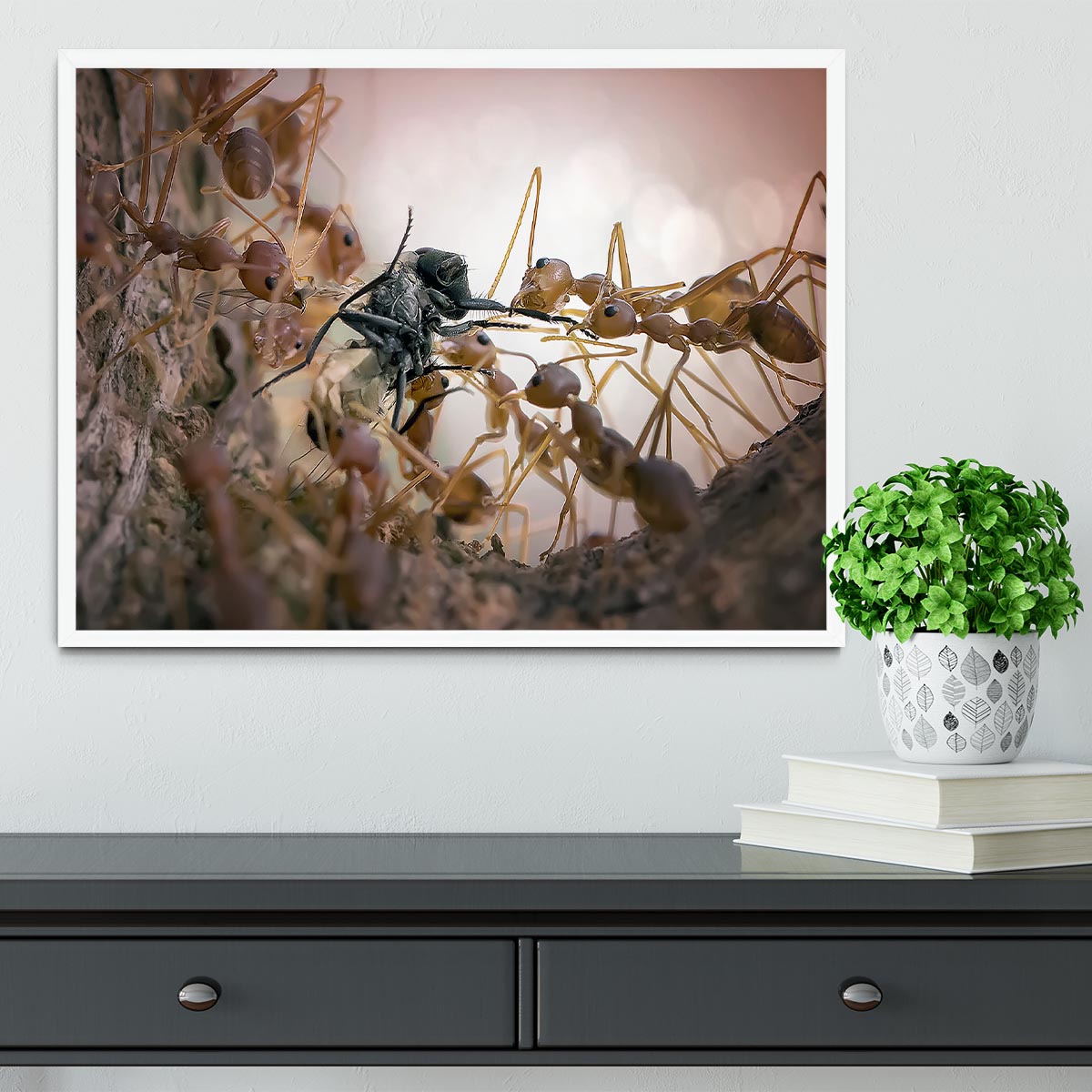 Close p Of Insects Framed Print - Canvas Art Rocks -6
