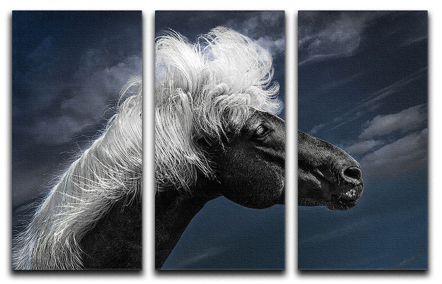White Mane On A Black Horse 3 Split Panel Canvas Print - Canvas Art Rocks - 1