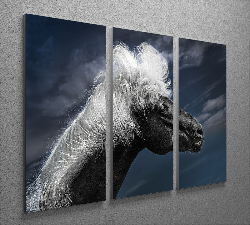 White Mane On A Black Horse 3 Split Panel Canvas Print - Canvas Art Rocks - 2