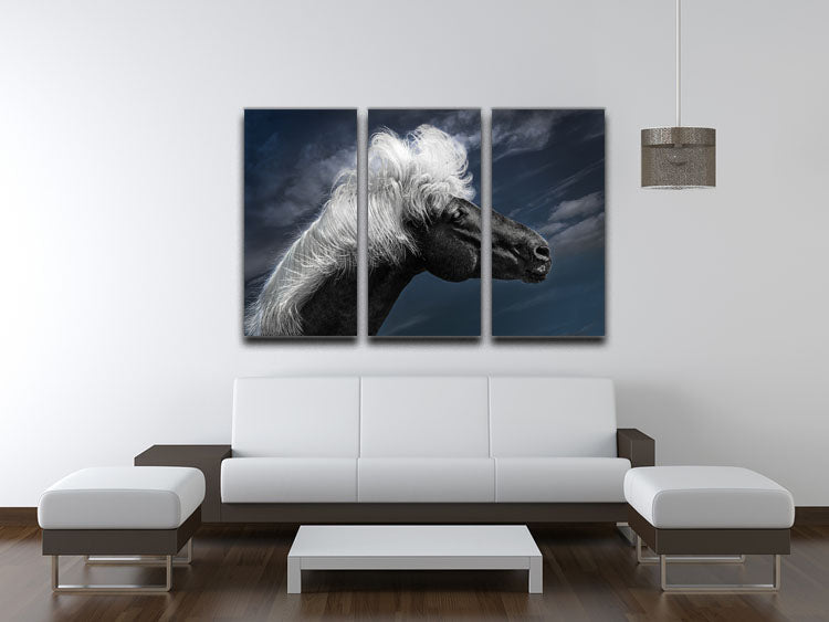 White Mane On A Black Horse 3 Split Panel Canvas Print - Canvas Art Rocks - 3