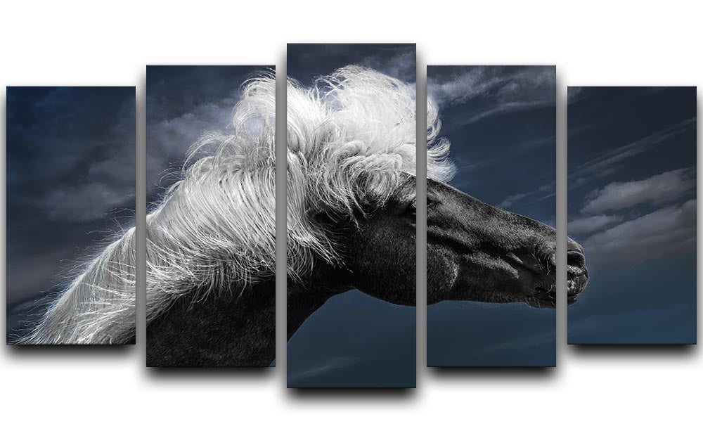 White Mane On A Black Horse 5 Split Panel Canvas - Canvas Art Rocks - 1