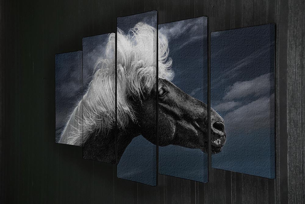 White Mane On A Black Horse 5 Split Panel Canvas - Canvas Art Rocks - 2