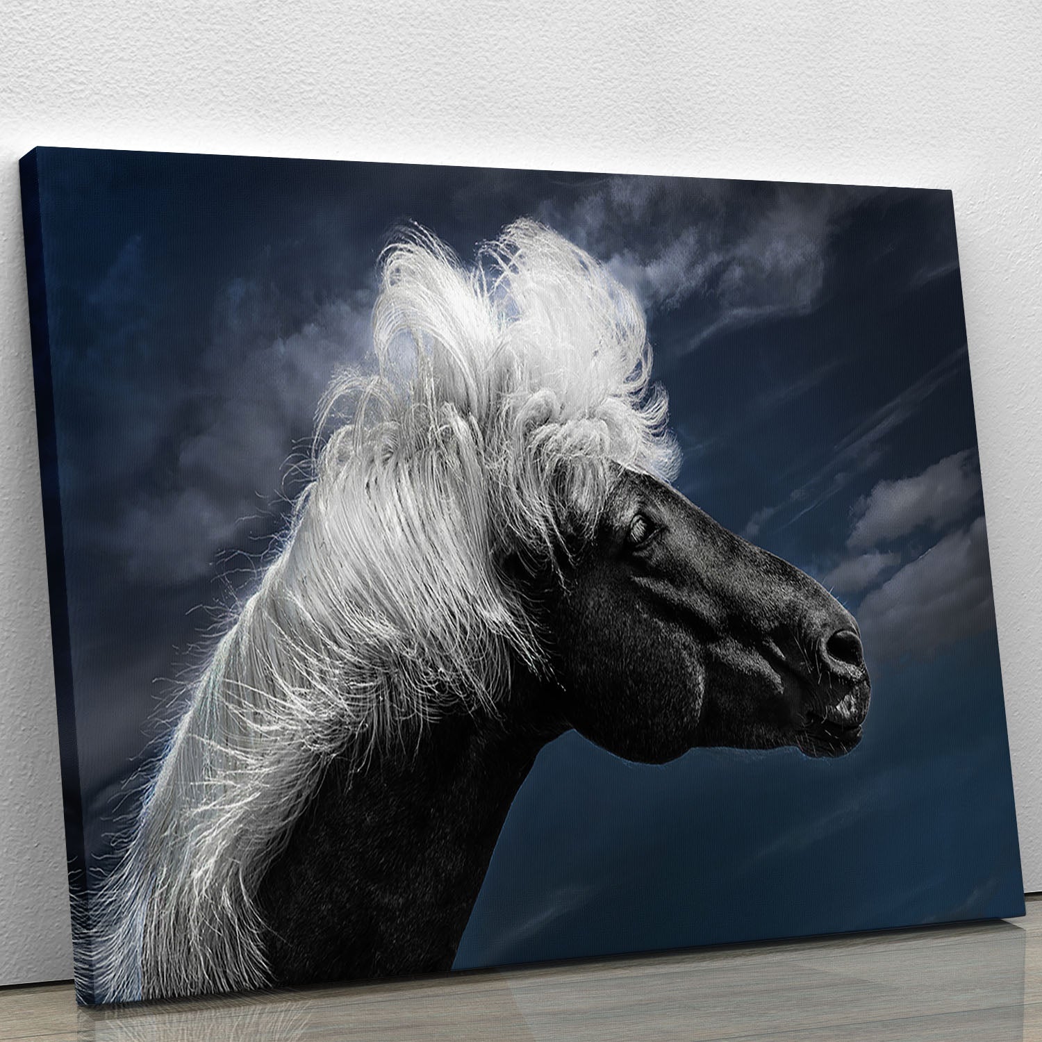 White Mane On A Black Horse Canvas Print or Poster - Canvas Art Rocks - 1