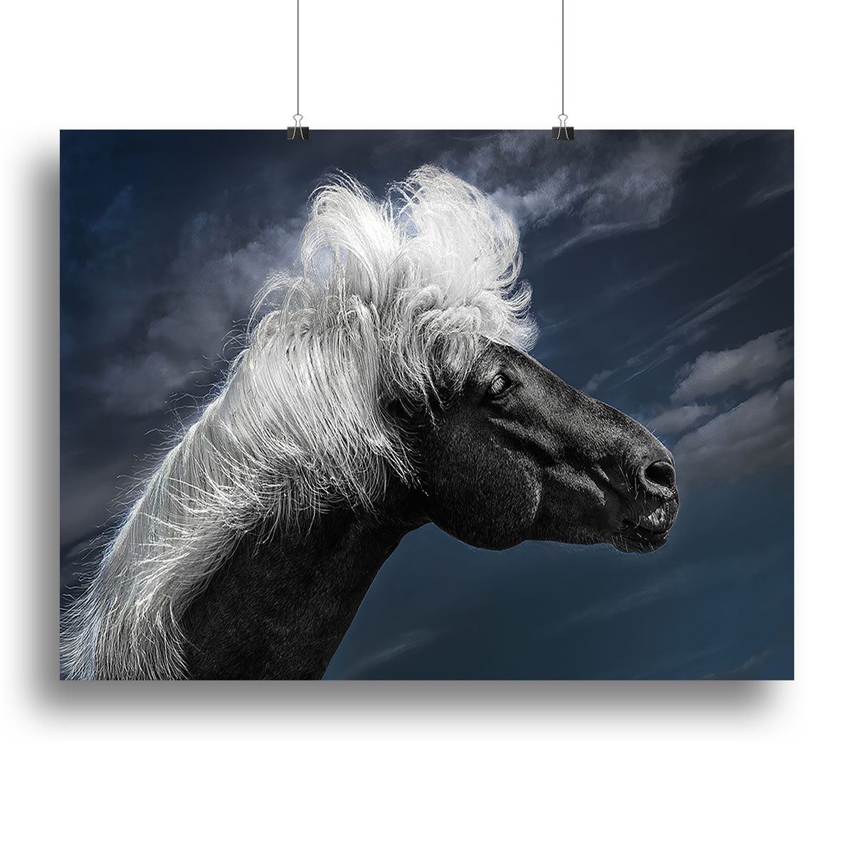 White Mane On A Black Horse Canvas Print or Poster - Canvas Art Rocks - 2