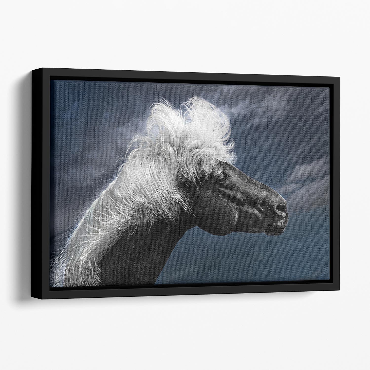 White Mane On A Black Horse Floating Framed Canvas - Canvas Art Rocks - 1