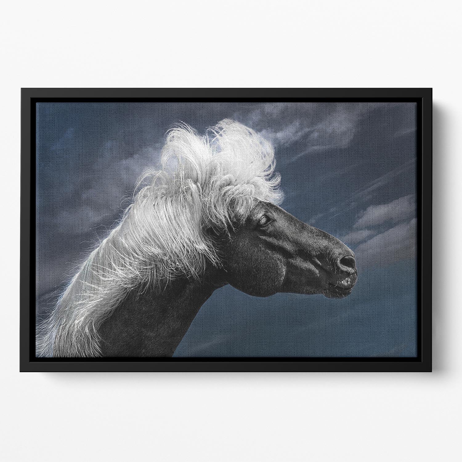 White Mane On A Black Horse Floating Framed Canvas - Canvas Art Rocks - 2