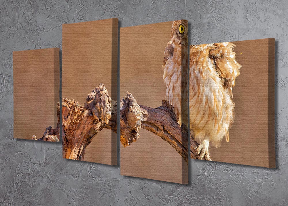 Little Owl On A Branch 4 Split Panel Canvas - Canvas Art Rocks - 2