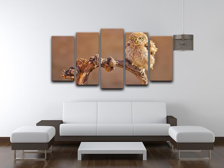 Little Owl On A Branch 5 Split Panel Canvas - Canvas Art Rocks - 3