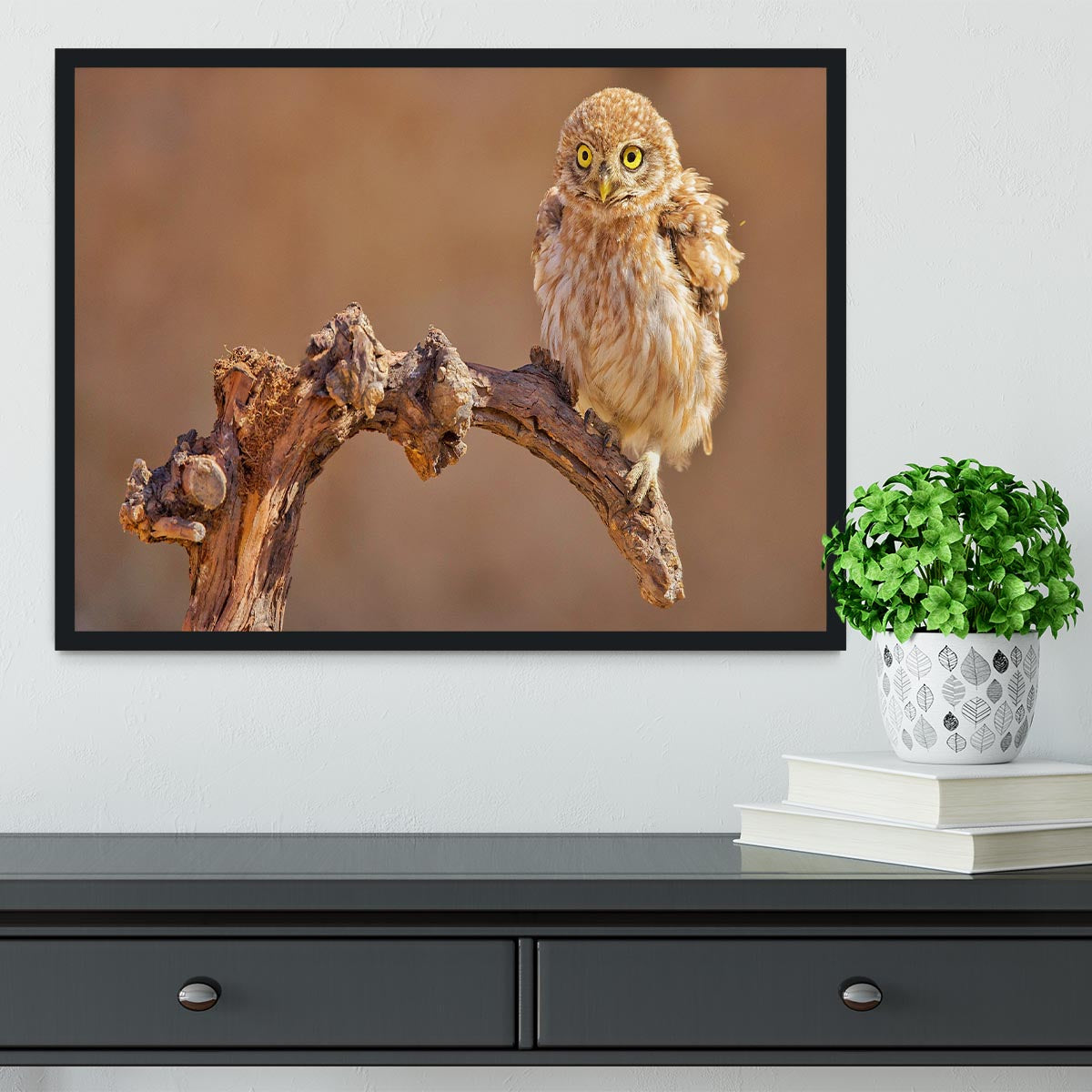 Little Owl On A Branch Framed Print - Canvas Art Rocks - 2