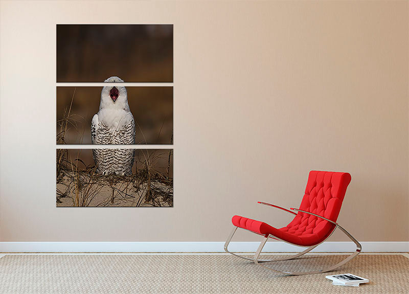 A Snowy Owl Chirping 3 Split Panel Canvas Print - Canvas Art Rocks - 2