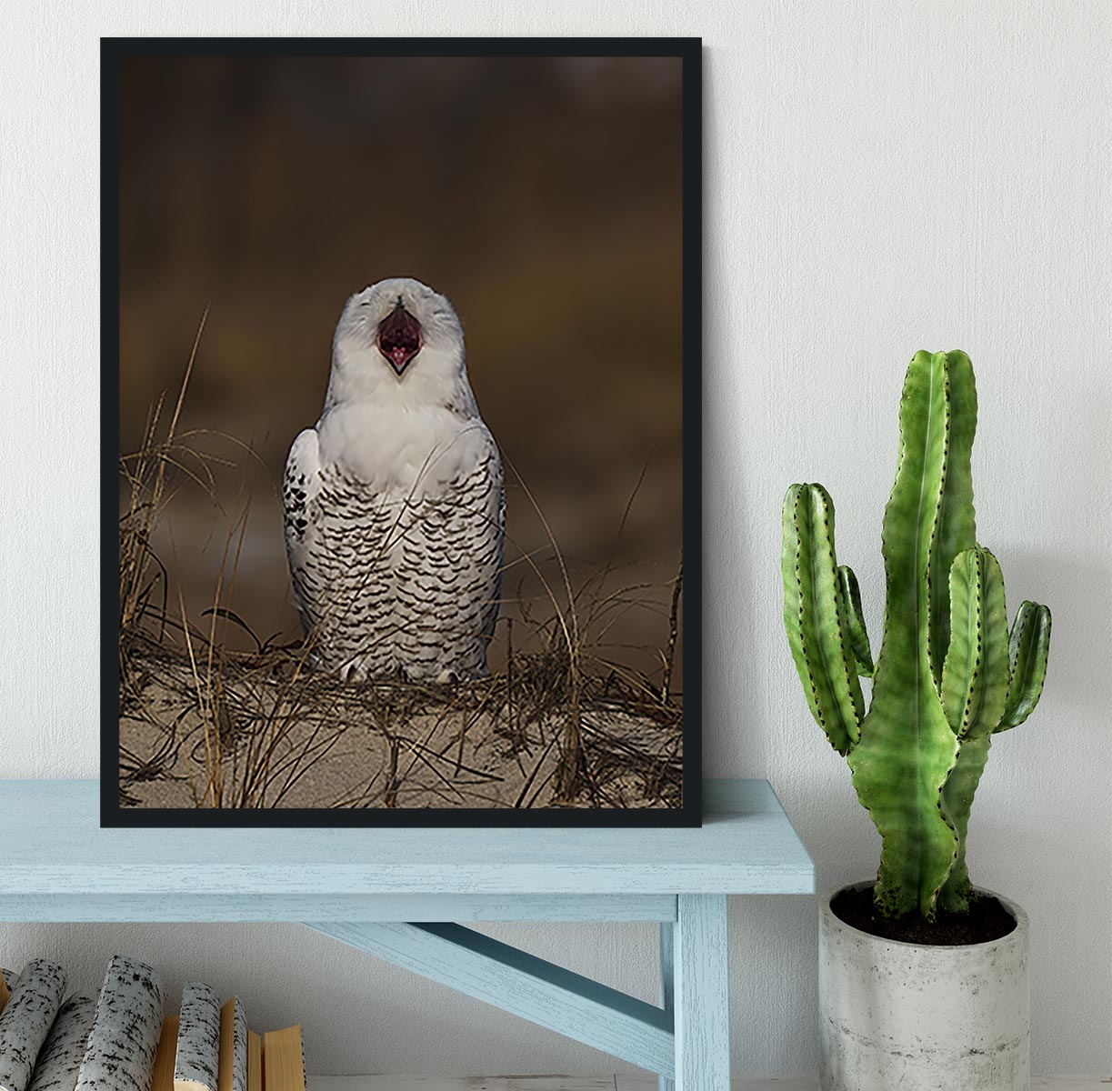 A Snowy Owl Chirping Framed Print - Canvas Art Rocks - 2