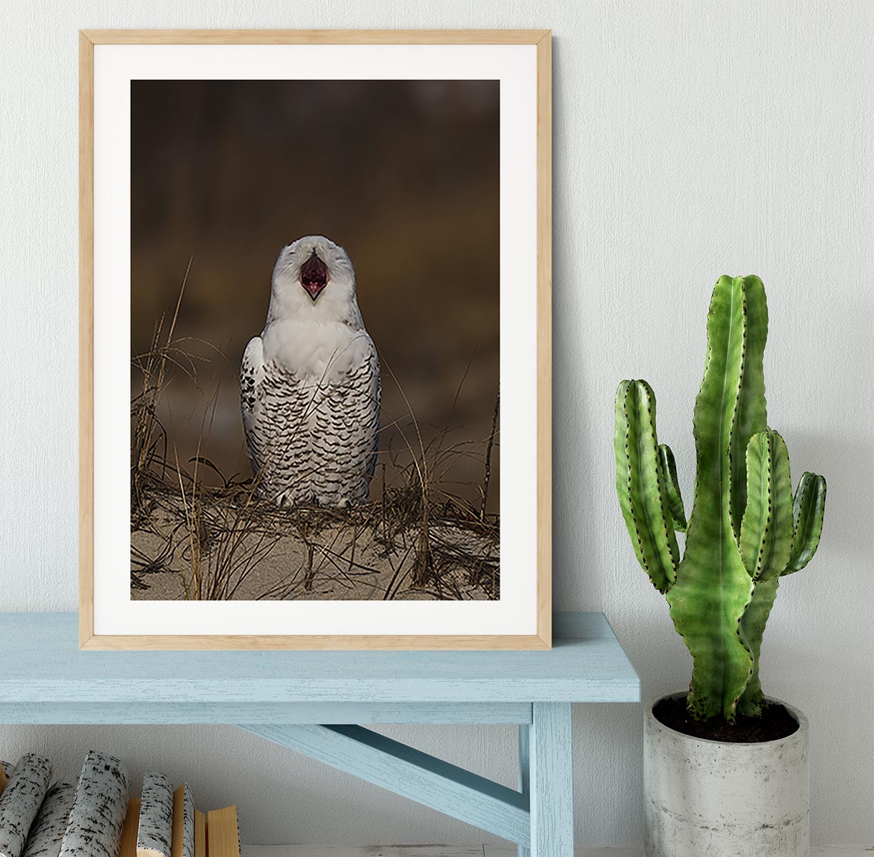 A Snowy Owl Chirping Framed Print - Canvas Art Rocks - 3